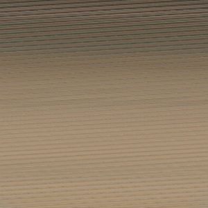 Meet your Posher, Tasia